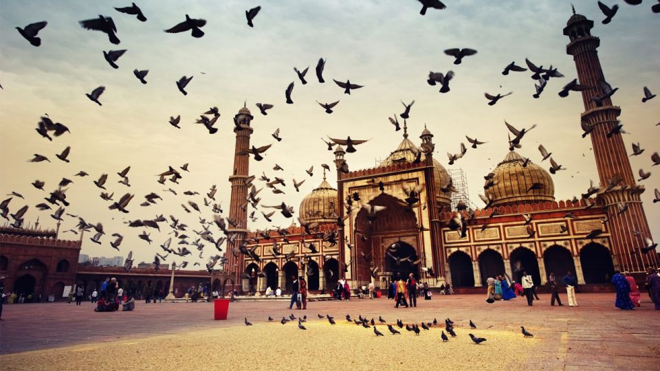 1 delhi guided full day city sightseeing tour Delhi: Guided Full-Day City Sightseeing Tour