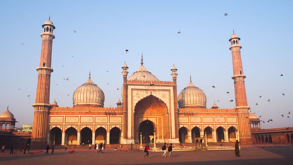 Delhi: Old and New Delhi Private Guided City Tour - Pricing and Savings Information