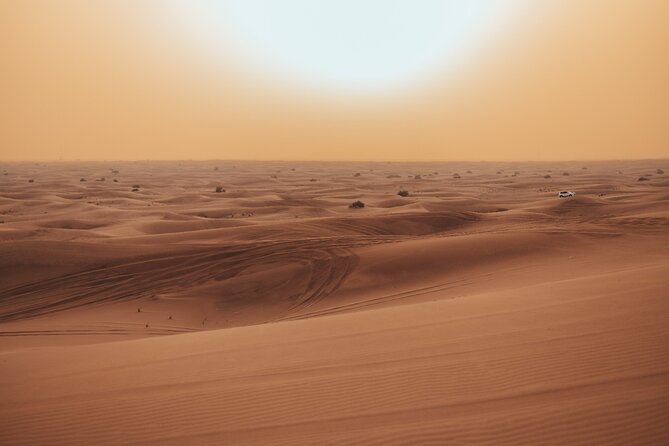 Deluxe Sunset Desert Safari: Sandsurfing, Camel Ride & BBQ Dinner
