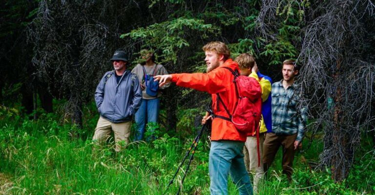 Denali: Naturalist Walking Tour in Denali National Park