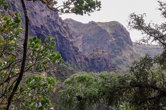 Descent to Caldeira Do Faial – the Perfect Adventure