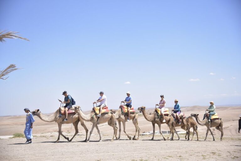 Desert and Mountain Exploration With Camel Riding Plus Tea