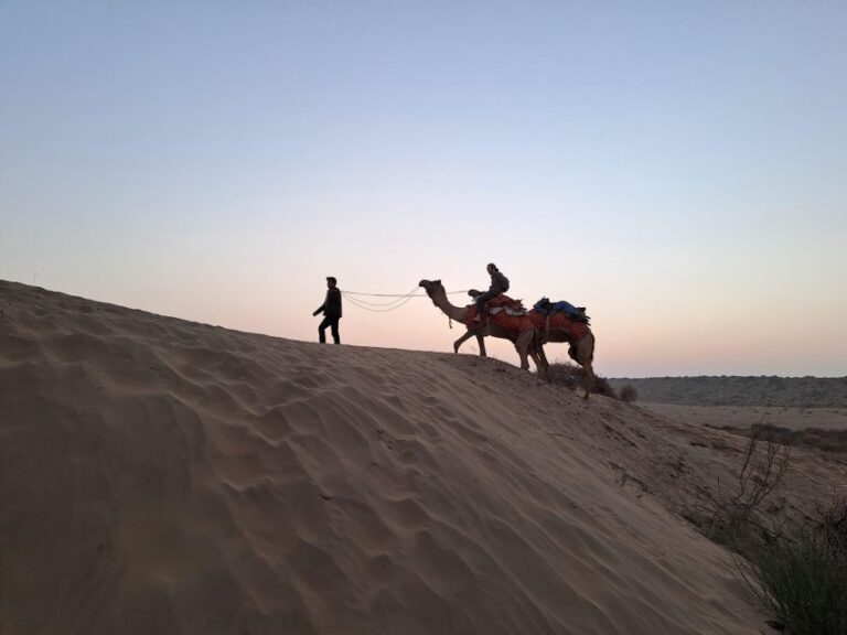 Desert Rose Jaisalmer: Luxury Tent In Thar Desert