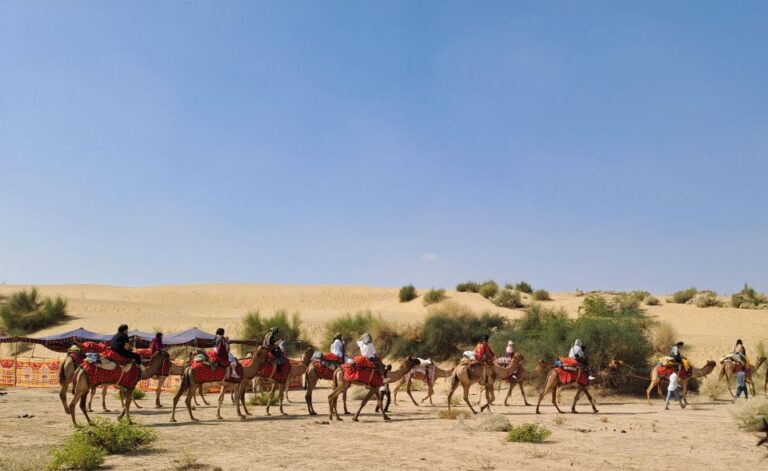 Desert Rose Jaisalmer: Non-Touristic,Billion Star Experience