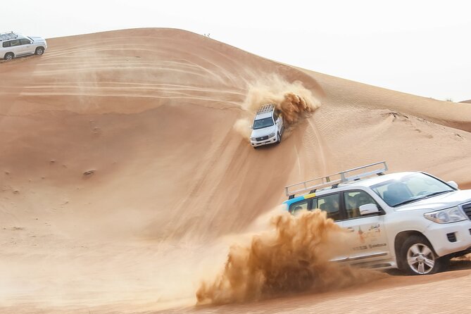 Desert Safari Experience With Dune Bashing and Dinner in Dubai - Customer Reviews