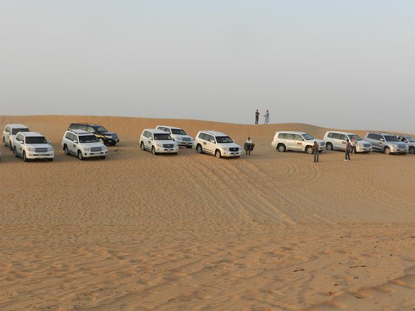Desert Safari in a 4 X 4 With Sand Ski and Camel Ride From Dubai