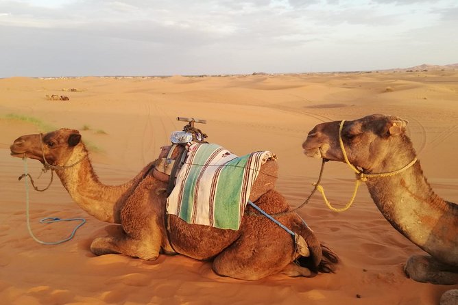 Desert Trip From Fes to Fes via Merzougua (2days,1night)