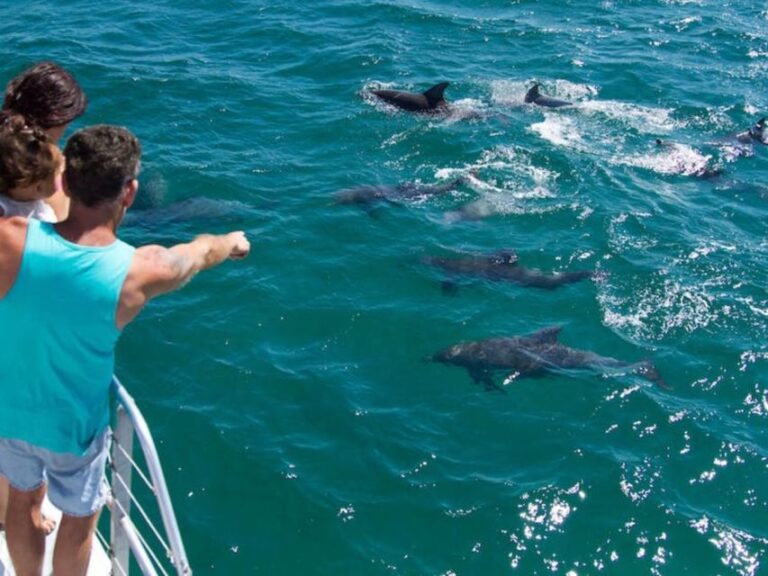 Destin: Dolphin Watch Cruise