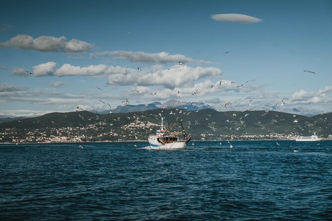 Didi Boat Tour With Davide-Explore the Island and Portovenere