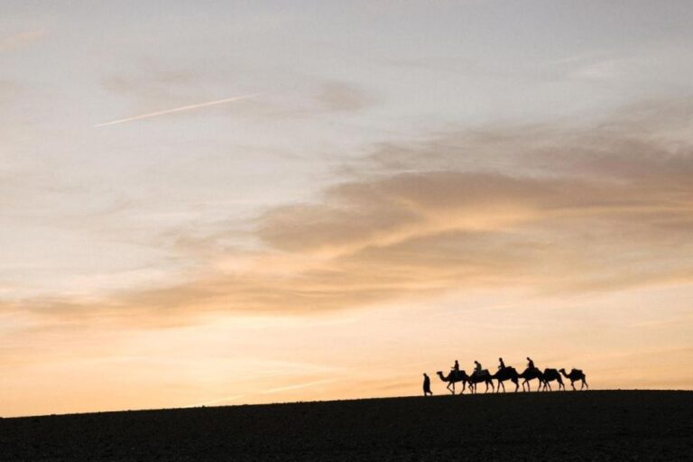 Diner in Agafay Desert With Camel Ride ,Magical Show