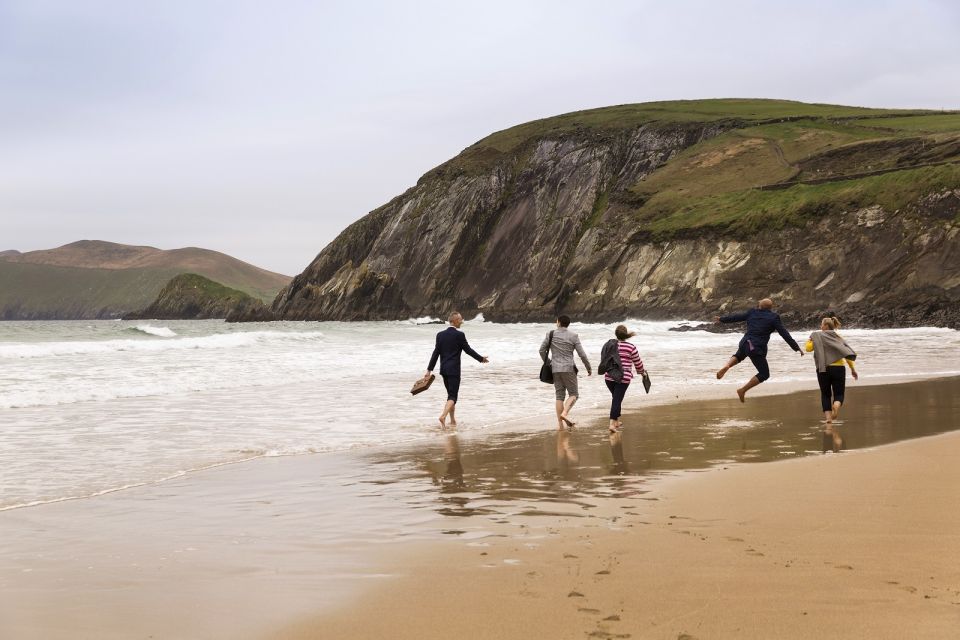 1 dingle day tour from limerick Dingle Day Tour From Limerick