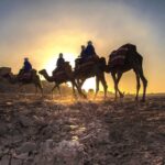 1 dinner in agafay desert camel ride Dinner in Agafay Desert & Camel Ride