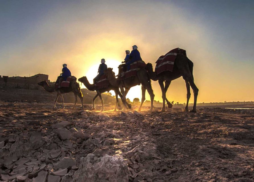1 dinner in agafay desert camel ride Dinner in Agafay Desert & Camel Ride