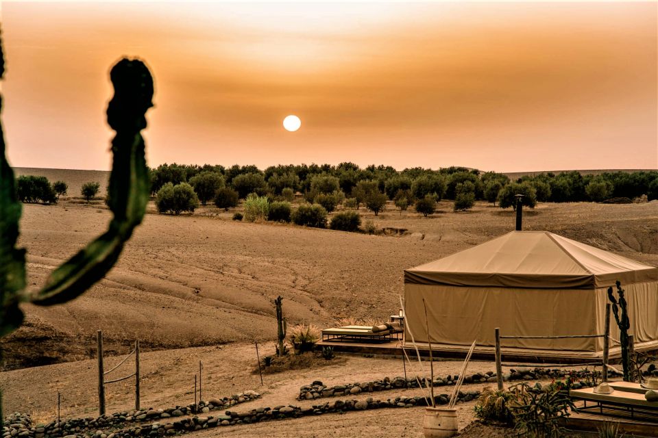 Dinner in Agafay Desert From Marrakech