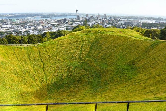 Discover Auckland City With Tour Guide