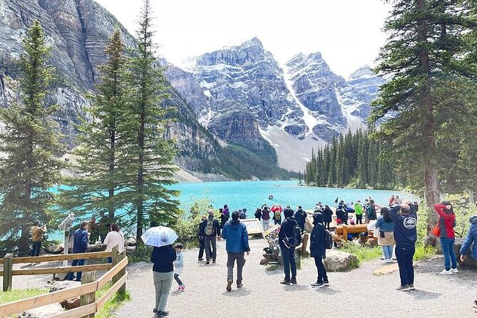 1 discover banff national park on this shared tour from calgary Discover Banff National Park on This Shared Tour From Calgary