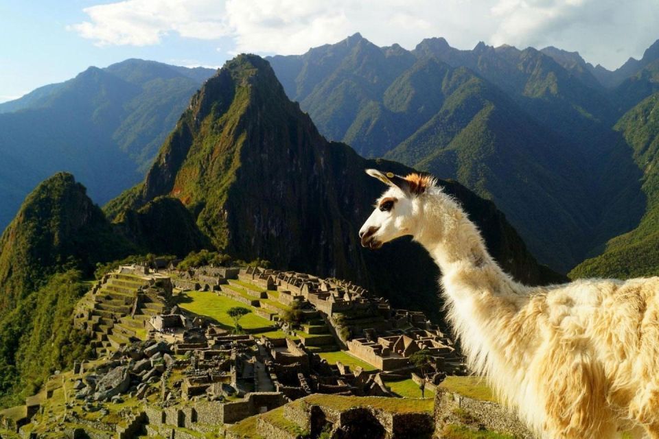Discover Machu Picchu: Guided Group Tour Historic Site - Tour Experience
