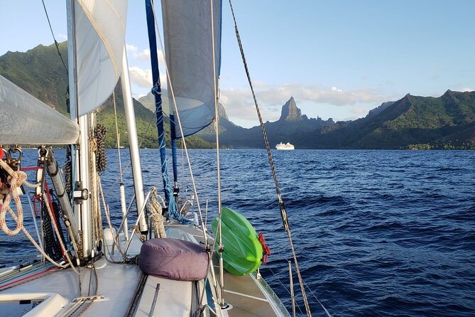 Discover Sailboat Navigation Mori Ora – Sunset