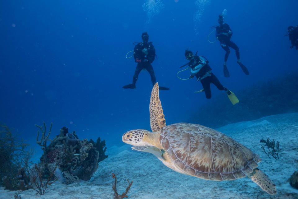 Discover Scuba Diving: Costa Maya's Reef Experience