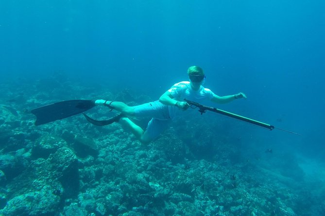 Discover Spearfishing Course