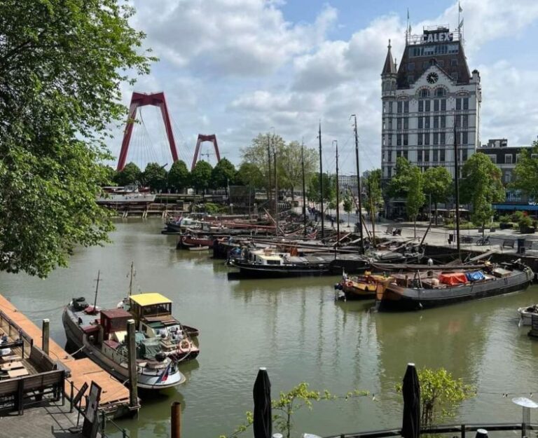 Discover the Hague, Delft & Rotterdam, With Lunch!