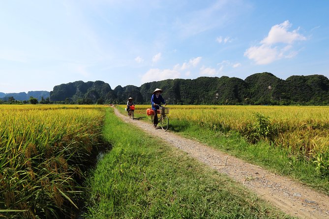 Discover Trang An Natural World Heritage, Bich Dong Pagoda, Cycling Day Tour
