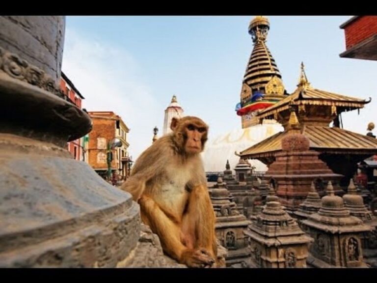 Discovering Kathmandu: Full-Day City Highlights Bus Tour