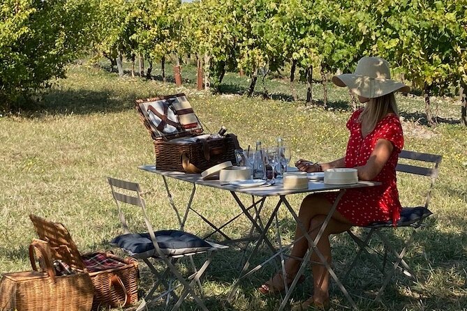 Discovery of the Cognac Vineyard in a 2CV With Picnic in the Middle of the Vines