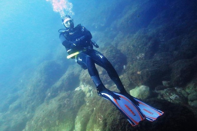 Discovery Scuba Diving Taormina & Isola Bella