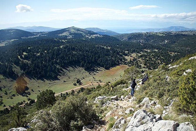 1 divine delphi ancient trail hike private day trip Divine Delphi & Ancient Trail Hike Private Day Trip