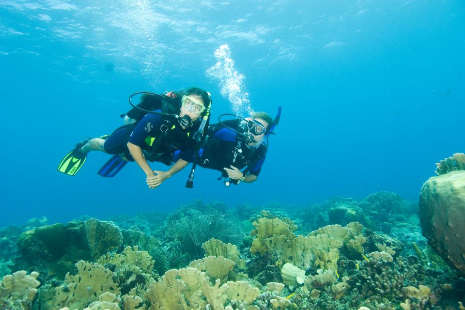 1 diving santa marta tayrona for certified divers 2 tanks Diving Santa Marta & Tayrona for Certified Divers (2 Tanks)