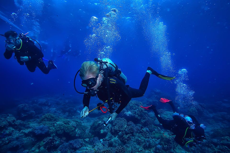 1 diving tour in alanya Diving Tour in Alanya