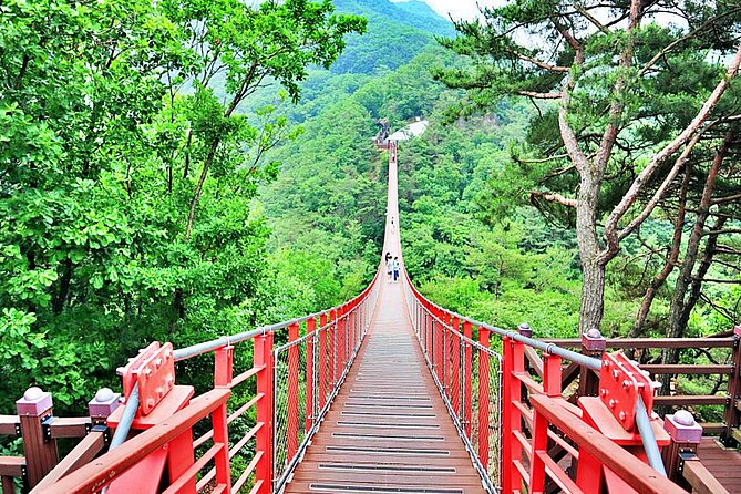 DMZ Full Day Tour With Suspension Bridge or Imjin River Sailboat