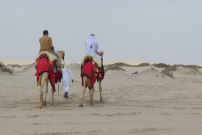 Doha Combo City and Half Day Desert Safari Tour No Hidden Cost