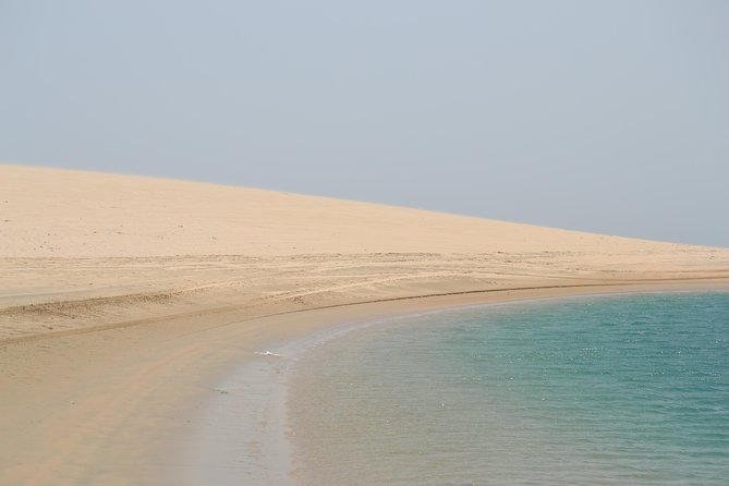1 doha desert safari dune bashing camel ride sandboarding inland sea Doha: Desert Safari, Dune Bashing, Camel Ride, Sandboarding & Inland Sea