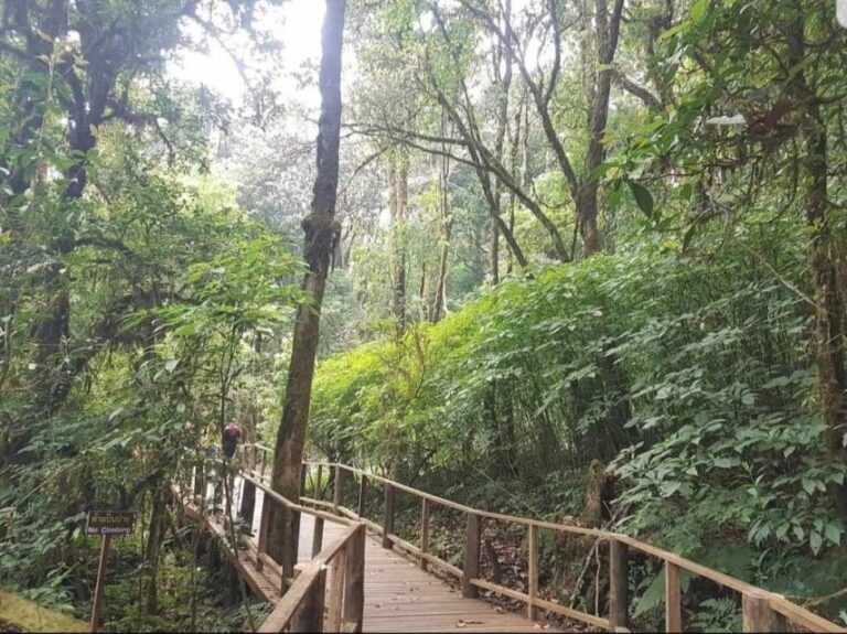 Doi Inthanon: Full-Day Tour With Waterfalls & Hilltribes