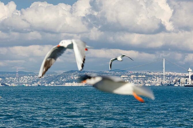 Dolmabahçe Palace Group Tour & Sunset Cruise