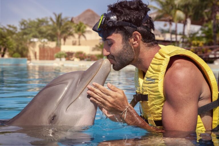Dolphin Connection Riviera Maya: Dolphin Connection
