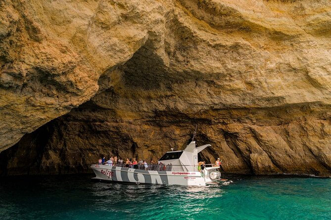 1 dolphin watching and cave boat cruise from albufeira Dolphin Watching and Cave Boat Cruise From Albufeira