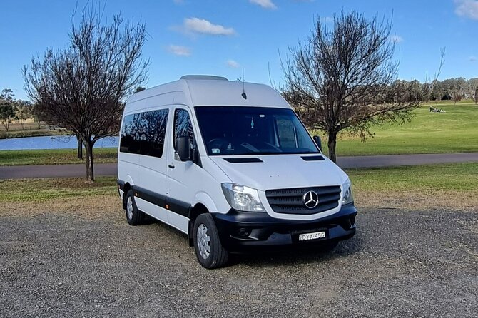 Dolphin Watching Sydney Tours Port Stephens Private Tour