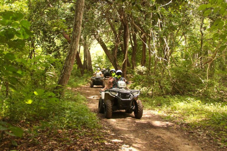 Double or Single Rider ATV Jungle Tour