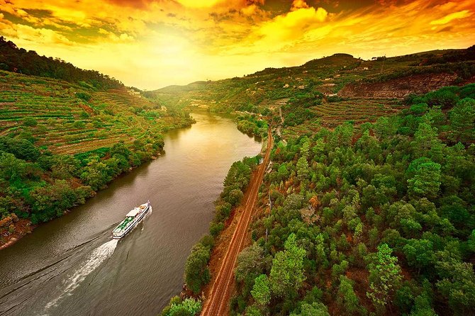 Douro Valley and Régua Panoramic Cruise With Lunch From Porto