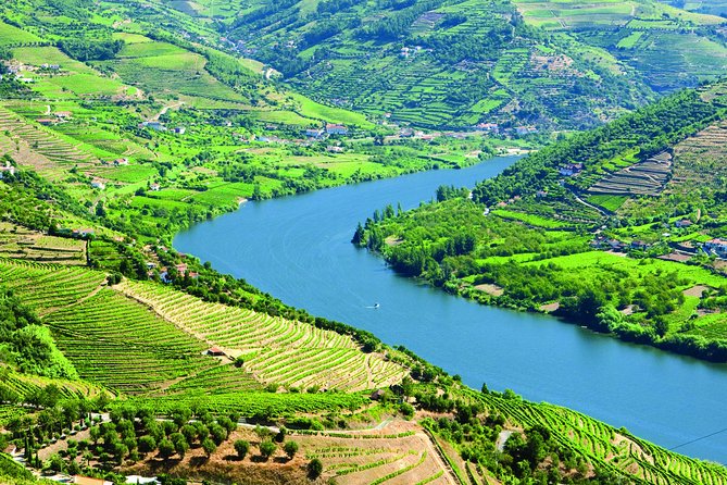 1 douro valley food and wine small group tour from porto Douro Valley: Food and Wine Small Group Tour From Porto