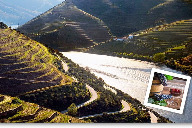 Douro Valley Private Premium Tour With Wine Tasting (1 to 4 People)