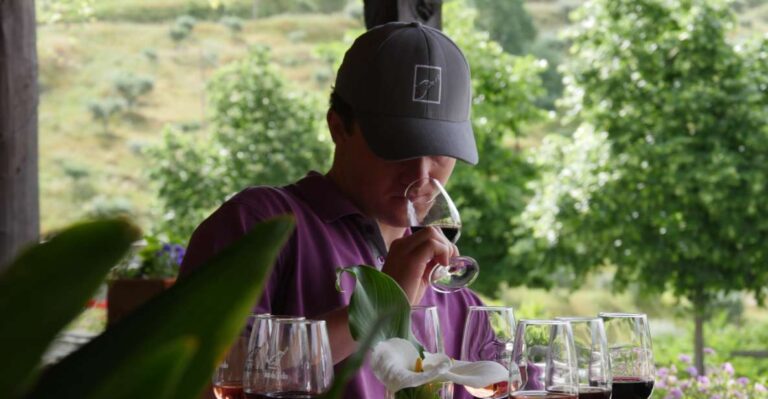 Douro Valley: Quinta Do Tedo Winery Tour and Tasting