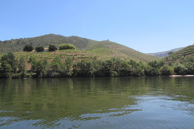 Douro Valley Tour: 2 Vineyard Visits, River Cruise, Winery Lunch
