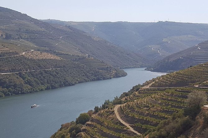 Douro Valley Tour: Wine Tasting River Cruise and Lunch From Porto
