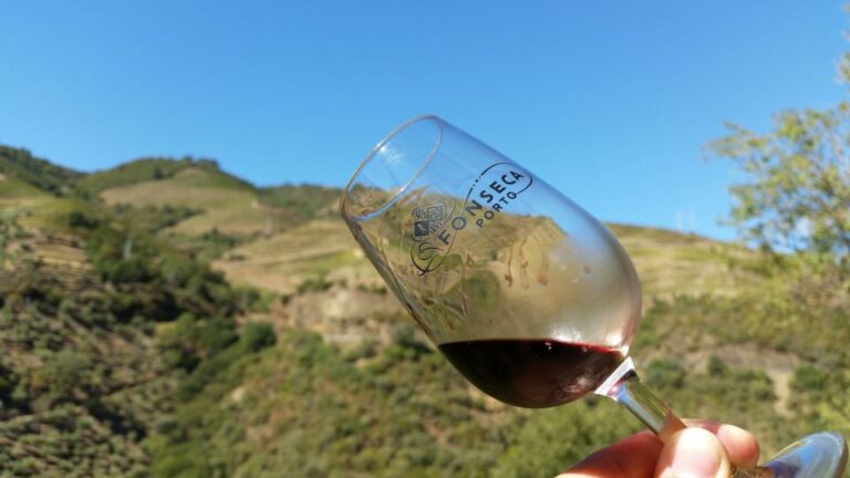 Douro Valley Wine Tasting From Porto