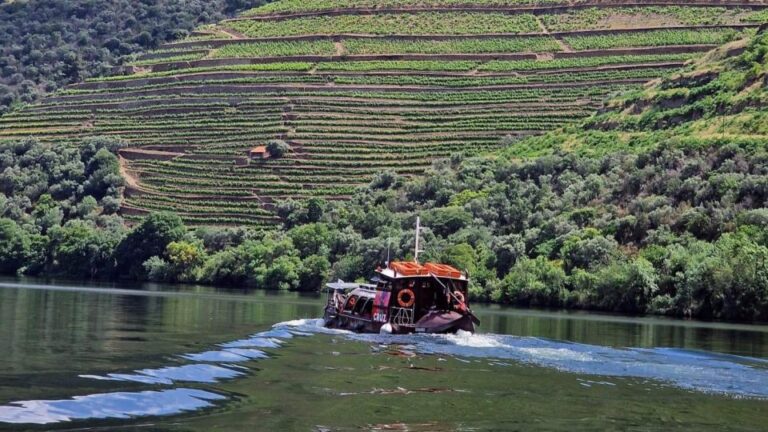 Douro Valley:Expert Wine Guide,Boat, Wine, Olive Oil & Lunch