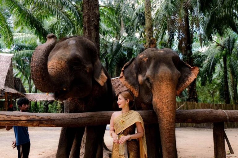 Dress in Thai Costume, Feed Elephants, and Photoshoot